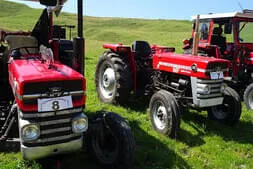 Oldtimertreffen Lofer Bild 54