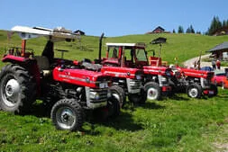 Oldtimertreffen Lofer Bild 58