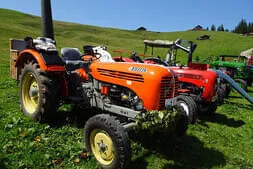 Oldtimertreffen Lofer Bild 64