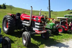 Oldtimertreffen Lofer Bild 63