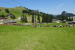 Oldtimertreffen Lofer Bild 68