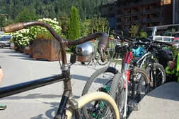 Stoaberg-Roas Bild 3
