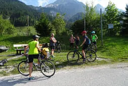 Stoaberg-Roas Bild 4
