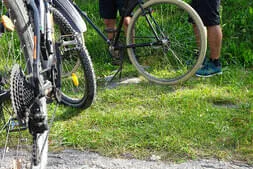 Stoaberg-Roas Bild 6