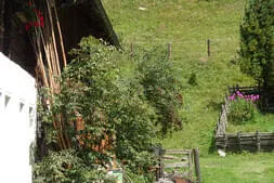 Ausflug in den Lungau Bild 61