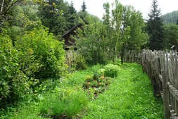 Ausflug in den Lungau Bild 57
