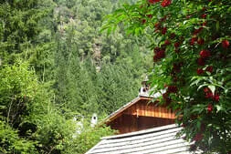 Ausflug in den Lungau Bild 64