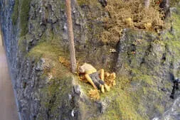 Ausflug in den Lungau Bild 87