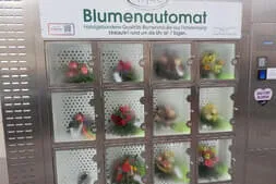 Damenausflug-Strickreise Bild 20