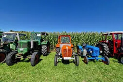Oldtimertreffen Mehring Bild 51
