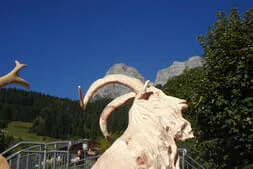 Bauernherbstfest Hinterthal  Bild 7