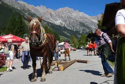 Bauernherbstfest Hinterthal  Bild 13