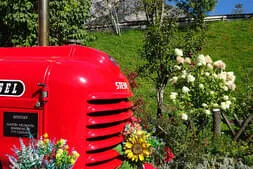 Bauernherbstfest Hinterthal  Bild 43