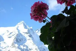 Alpenüberquerung 2.0 Bild 75