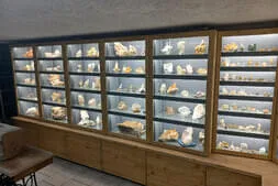 Tag der offenen Garagentür Bild 52