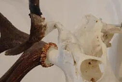 Busausflug 2025 Bild 15