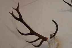 Busausflug 2025 Bild 14