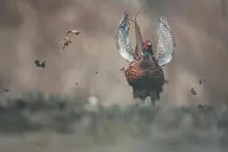 Busausflug 2025 Bild 13