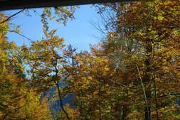 Busausflug 2025 Bild 16