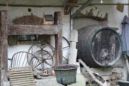 Busausflug 2025 Bild 95