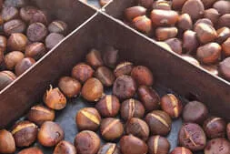 Bratl-essn-geh Bild 22