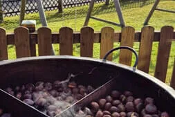 Bratl-essn-geh Bild 21