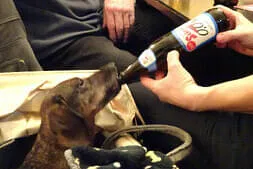 Adventhoagascht 2025 Bild 10