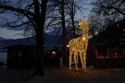 Adventhoagascht 2025 Bild 46