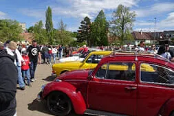 Käfertreffen Eggenburg 2026 Bild 18