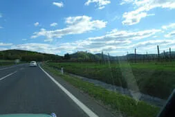 Käfertreffen Eggenburg 2026 Bild 82