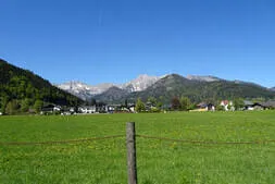 Käfertreffen Eggenburg 2026 Bild 102