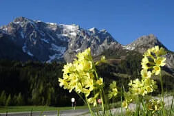 Käfertreffen Eggenburg 2026 Bild 108