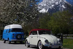 Käfertreffen Eggenburg 2026 Bild 2