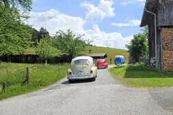 Käferweihe St. Johann  Bild 35