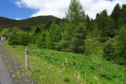 Zwei-Tages-Ausfahrt  Bild 20