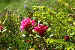 Zwei-Tages-Ausfahrt  Bild 26