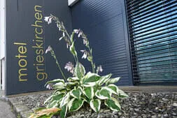 Wadholz-Classik 2026 Bild 5