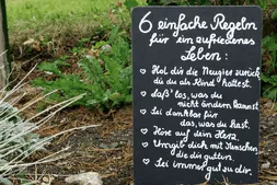 Alltagsklassiker & Sportwagenausfahrt Bild 23