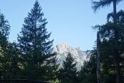 Einfach-Raus Bild 5