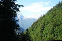 Einfach-Raus Bild 1