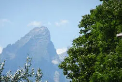 Einfach-Raus Bild 11