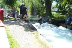 Einfach-Raus Bild 12
