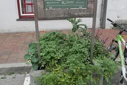 Damen-Ausfahrt Bild 14