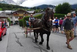 Bauernherbst-Maria Alm Bild 3