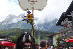 Bauernherbst-Maria Alm Bild 52