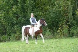 Bauernherbst-Hinterthal Bild 20