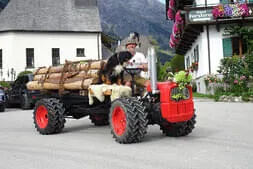 Bauernherbst-Hinterthal Bild 38