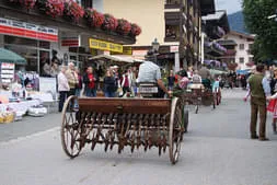 Bauernherbst Maria Alm Bild 8